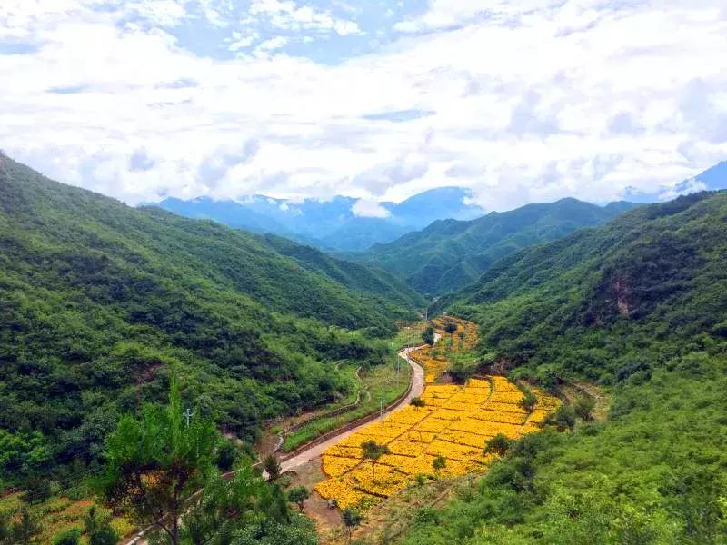 八月秋高天气爽,七二不凑十回头是什么生肖详细解答、前沿解答解释落实