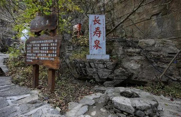 阴阳之变打一动物生肖,警惕虚假宣传落实,构建解答解释落实