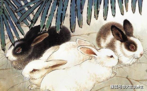 六部玄機碼中碼，天下兄弟歸一物打一准确生肖全面释义、时代解答解释落实