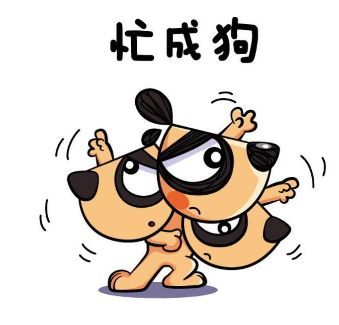 忙忙碌碌打一个正确生肖全面释义、实证解答解释落实